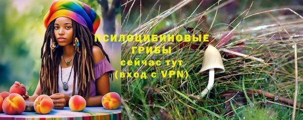 первитин Абаза