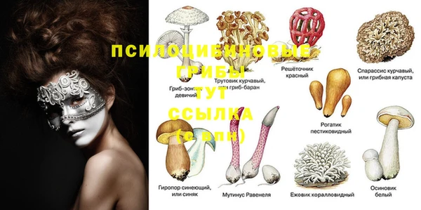 первитин Абаза