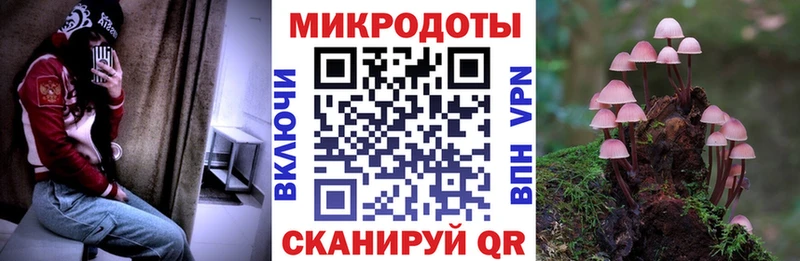 ОМГ ОМГ ONION  Партизанск  Псилоцибиновые грибы Psilocybe  где найти наркотики 