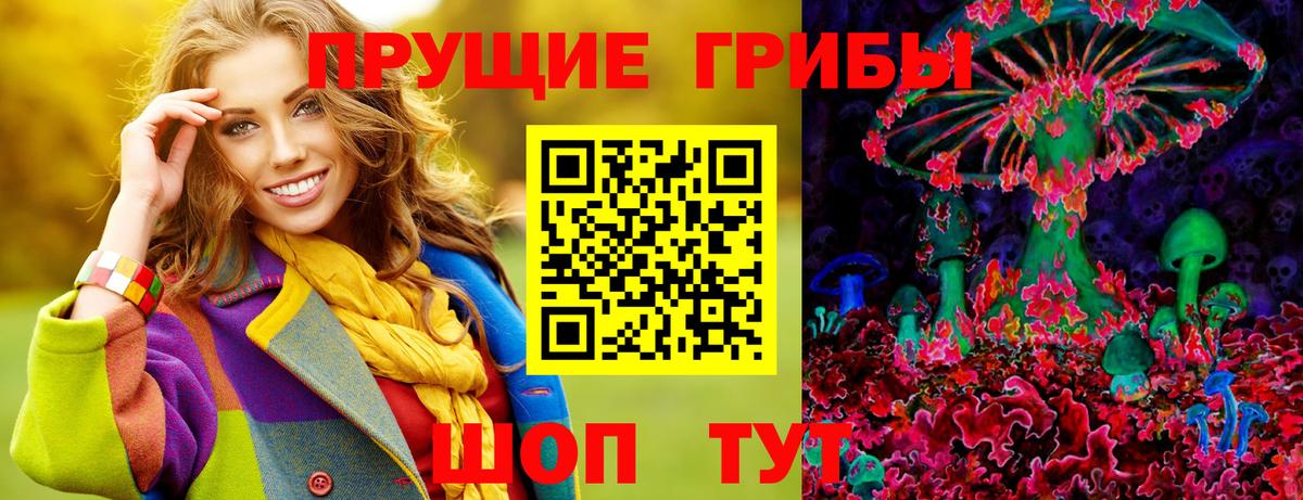 Псилоцибиновые грибы Psilocybine cubensis Партизанск